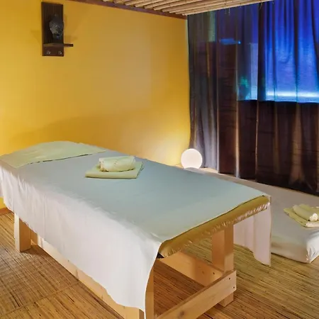 Holiday Inn Bratislava 4*